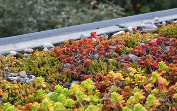 the cost of Middlefield green roof installation