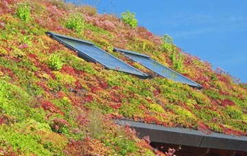 Middlefield living roof systems